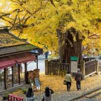 Nanyo Shi Yamagat japan
