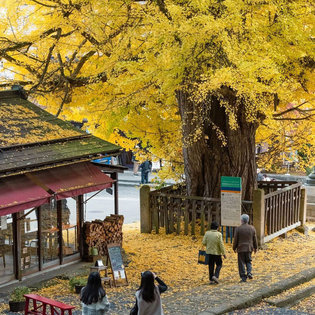 Nanyo Shi Yamagat japan