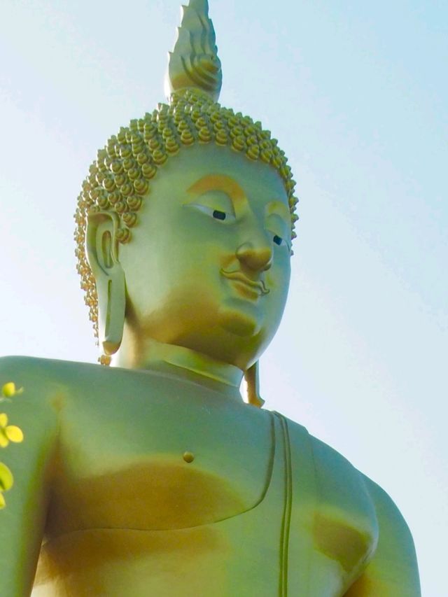 วัดม่วง จ.อ่างทอง