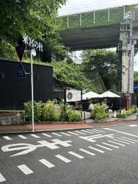 【熱海】来宮の杜で癒しとパワーをもらう旅🪄