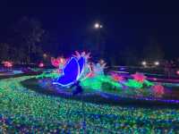 Charming Chiangmai Flower Festival