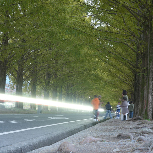 【滋賀県】高島市の魅力