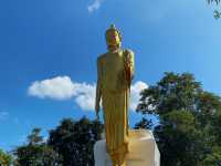 สกายวอล์คเชียงคาน จุดชมวิวภูเขาสุดอลังการ