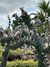 สวนนงนุชพัทยา