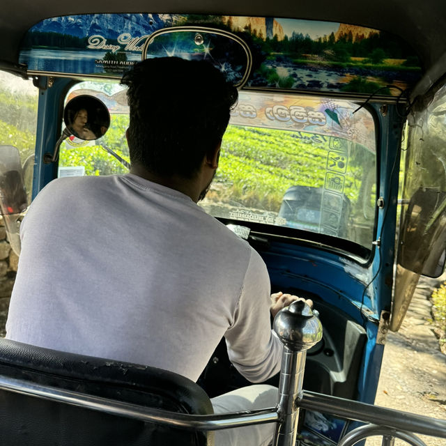斯里蘭卡🇱🇰 - Lipton發源地