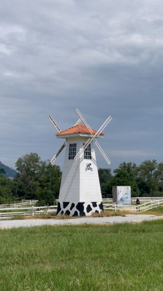 Fresh milk farm in Kelantan