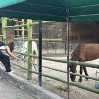 Clark Safari and Adventure Park is OK!