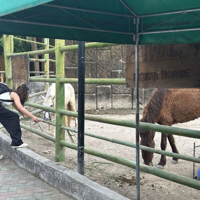 Clark Safari and Adventure Park is OK!