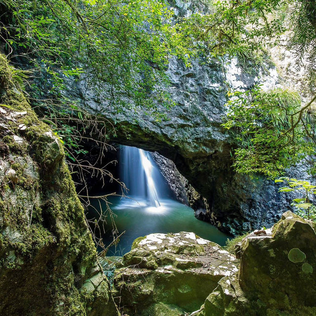 Springbrook national park. Queensland 