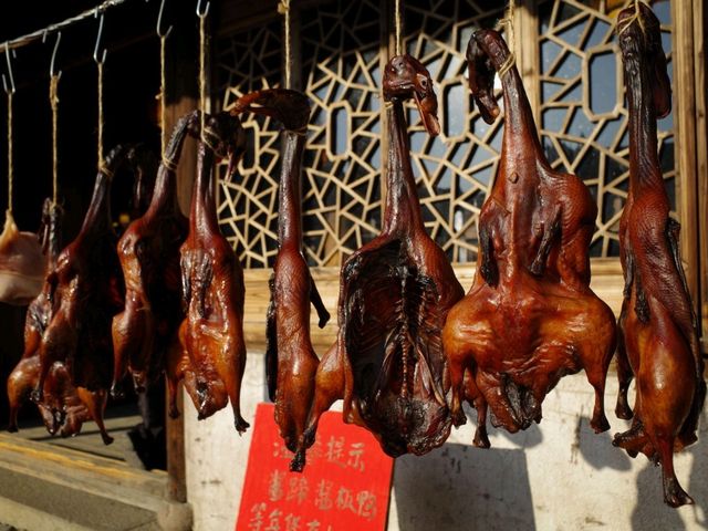 探索烏鎮西柵：中國最美水鄉古鎮的旅遊指南