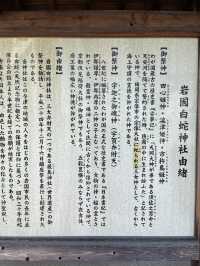 【山口】巳年だからこそ行きたい✨金運・商売繁盛・健康長寿を呼ぶシロヘビがモチーフの神社🐍
