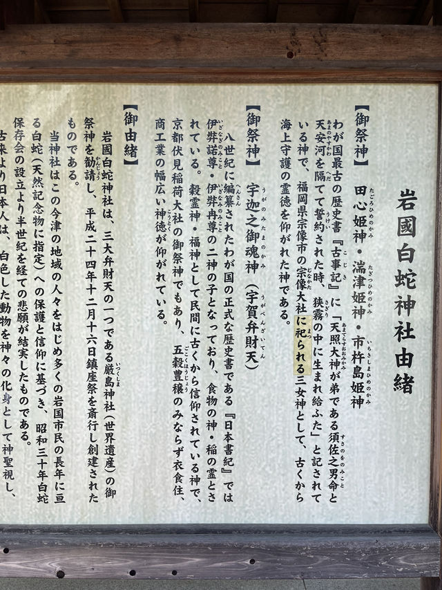 【山口】巳年だからこそ行きたい✨金運・商売繁盛・健康長寿を呼ぶシロヘビがモチーフの神社🐍