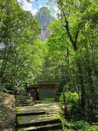Zhangjiajie National Forest Park 