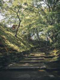 初夏の常寂光寺🌿静寂に包まれる癒しの空間