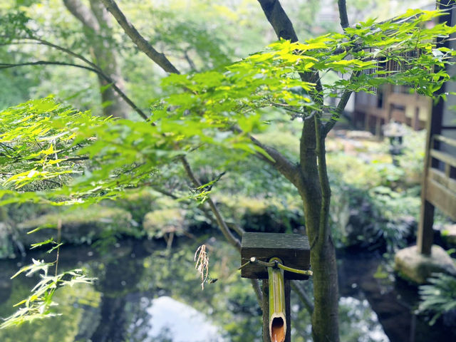大阪-->平等院一天遊