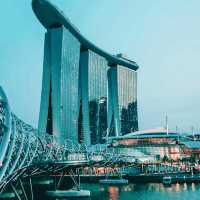 シンガポールのシンボル🇸🇬✨