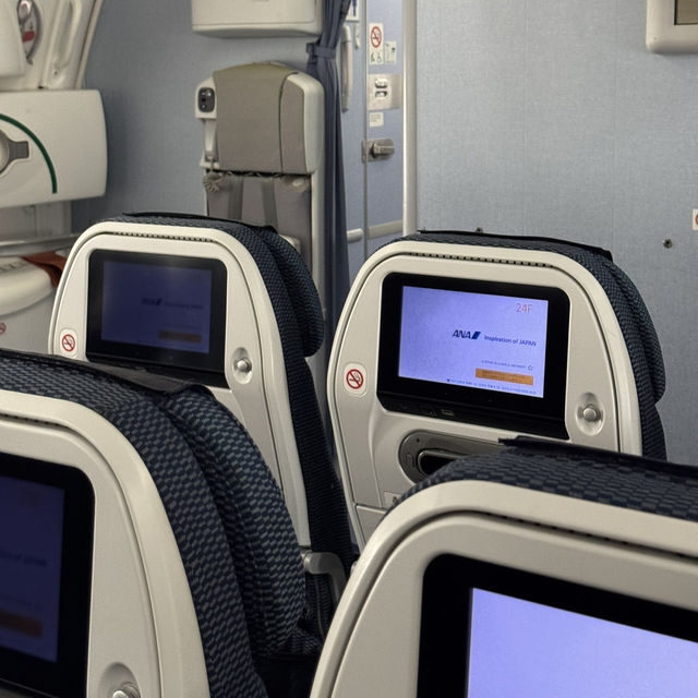 Experience flying All Nippon Airways