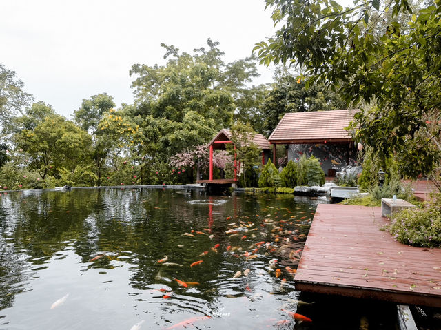 พาเที่ยวสวนผึ้งไฮแลนด์ มินิซูและจุดพักผ่อนสวนผึ้ง