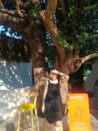 Matata Bay Cafe 