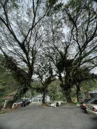 Most beautiful Hidden gem in Jeli Kelantan