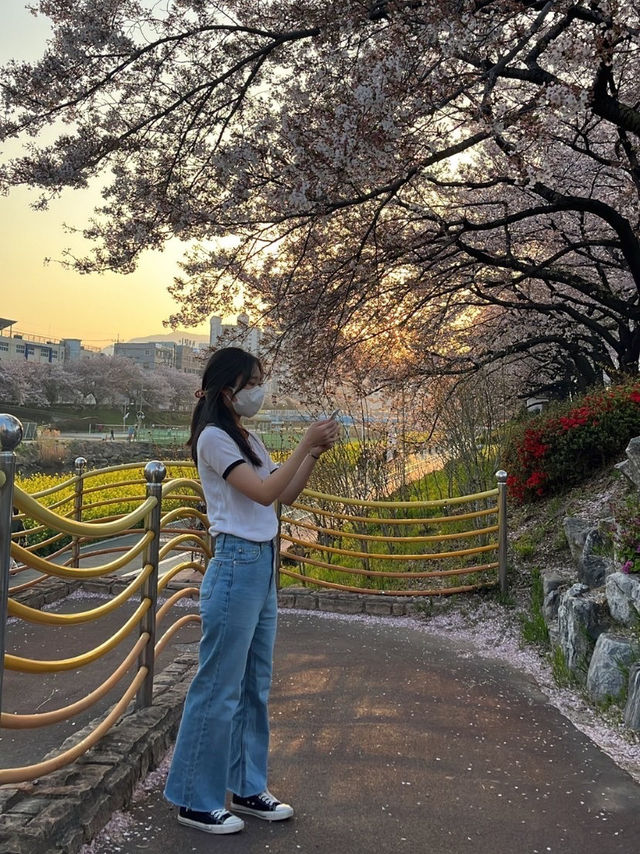 유채꽃 맛집 온천천 데이트❤️