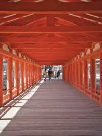 【広島】究極のパワースポット💪厳島神社で神秘体験✨