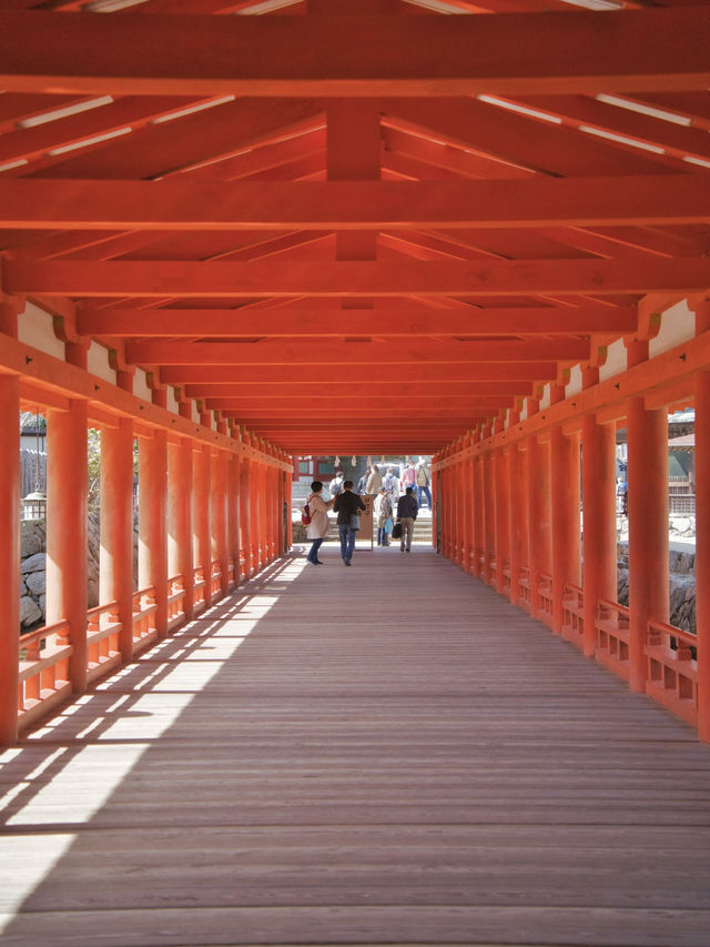 【広島】究極のパワースポット💪厳島神社で神秘体験✨