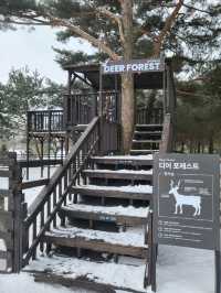 무료로 즐기는 동물농장이 있는 켄싱턴평창