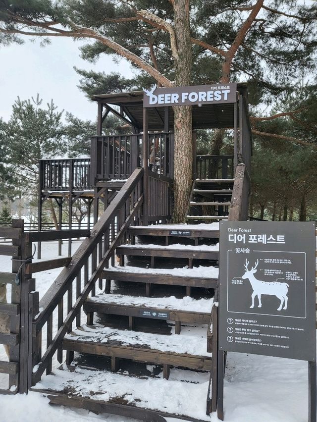 무료로 즐기는 동물농장이 있는 켄싱턴평창