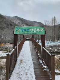 눈내리면 가야할 대전 겨울여행지