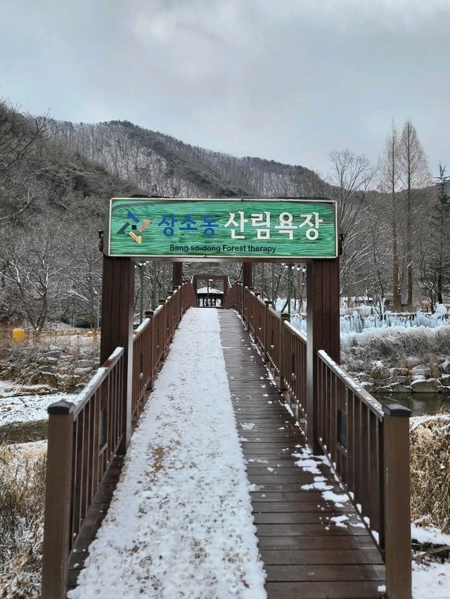 눈내리면 가야할 대전 겨울여행지