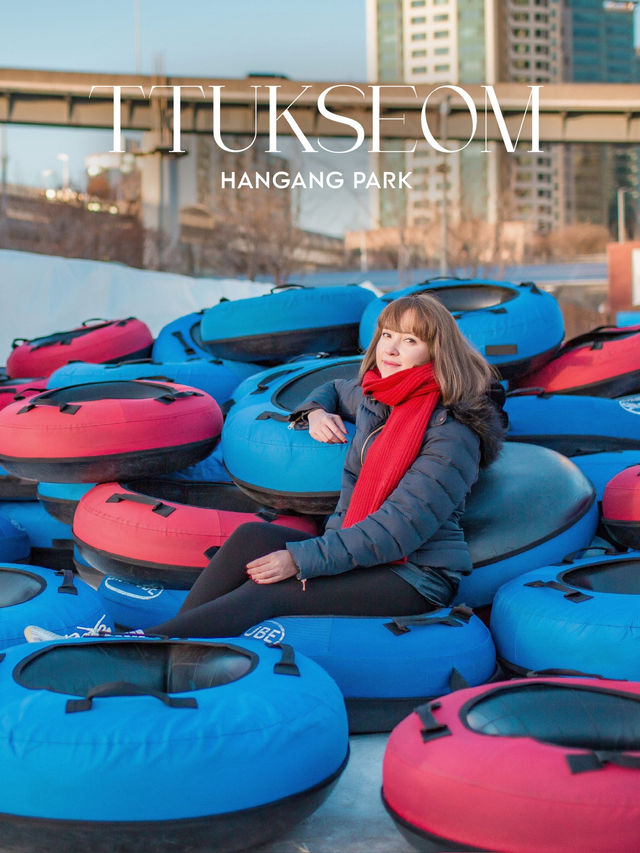 Ttukseom Hangang Park ไปเล่น sledding ริมแม่น้ำฮัน