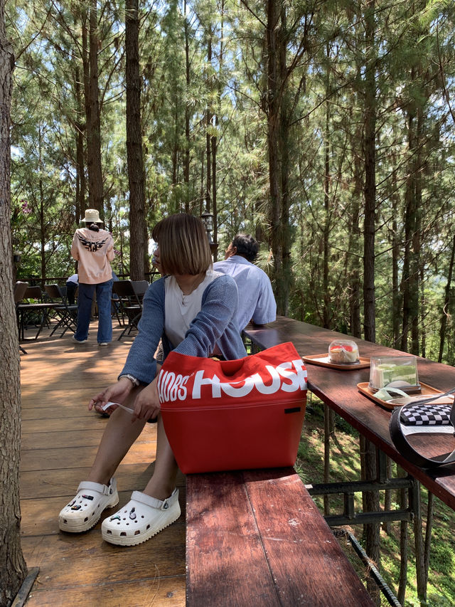 Cedar cafe ป่าสน เขาค้อ