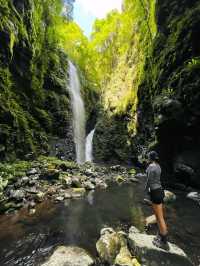 Wilderness Wonder: Hiking Lamington National Park