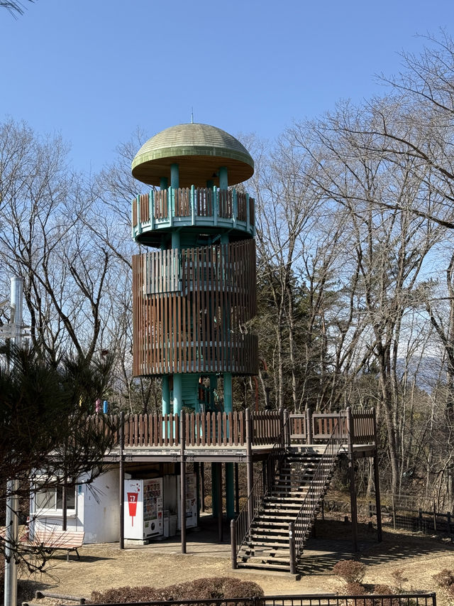【埼玉県/秩父】誰もが一度は聞いた音楽が流れる絶景スポット