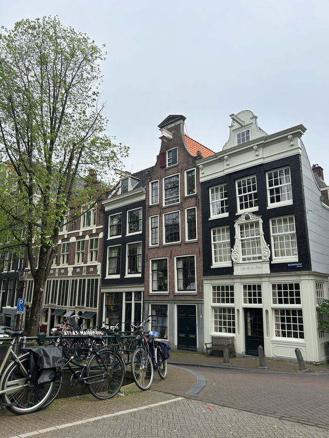How to Explore Amsterdam in a Day
