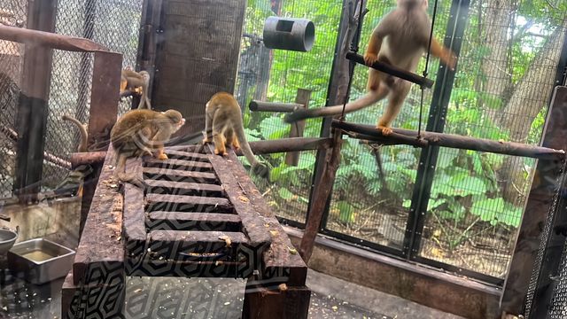 可愛的動物園，必坐小火車