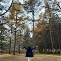 3 เมืองหลวง ใน Dongbei (东北)
