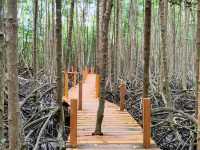 ทุ่งโปรงทองระยอง