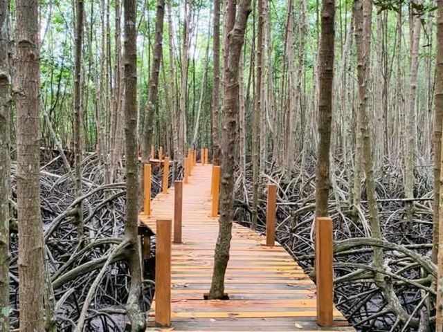 ทุ่งโปรงทองระยอง
