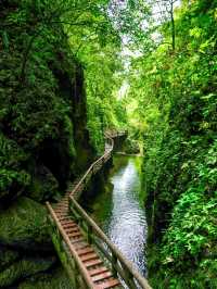Discovering the Charm of Qingcheng Mountain 🏯