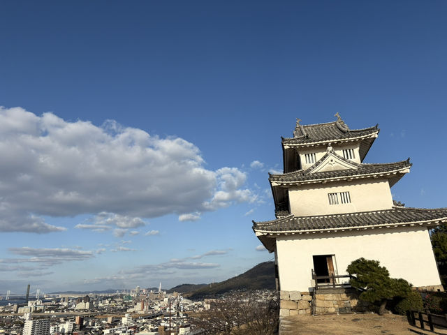 丸龜城