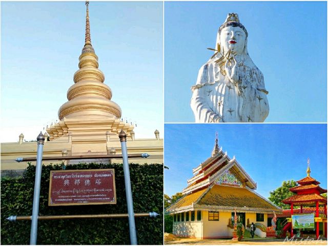 เช็คอิน@ดอยแม่สลอง