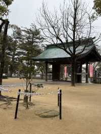 【山口観光】城下町長府の神社で開催中の｢大雛人形展｣🎎