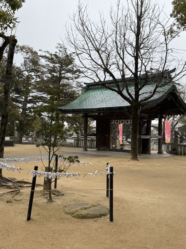 【山口観光】城下町長府の神社で開催中の｢大雛人形展｣🎎