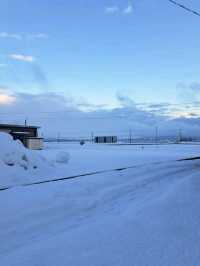 【ギンギョの酒場 マルギン:富山県富山市】