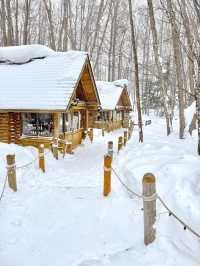 ❄️ 北海道富良野｜冬日精靈露台，雪景中的森林小屋