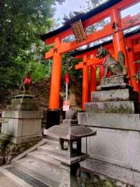 ⛩️ Fushimi Inari Taisha: A Pathway to Kyoto’s Spiritual Heart
