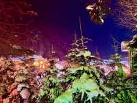 Meet the Reindeer at China Snow Town