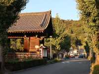 Step Back in Time: Strolling Through Sannenzaka & Ninnenzaka